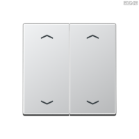 Jung BRG 12-5 PK 42 Abdeckung mit Kipphebel "Kegel" 1-fach 2 Kipphebel