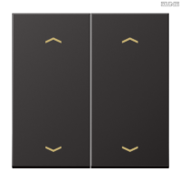 Jung BRG 12-5 PK 42 Abdeckung mit Kipphebel "Kegel" 1-fach 2 Kipphebel