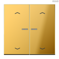 Jung BRG 12-5 PK 42 Abdeckung mit Kipphebel "Kegel" 1-fach 2 Kipphebel