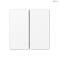Jung BRG 12-5 PK 42 Abdeckung mit Kipphebel "Kegel" 1-fach 2 Kipphebel