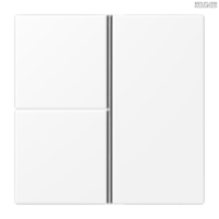 Jung BRG 12-5 PK 42 Abdeckung mit Kipphebel "Kegel" 1-fach 2 Kipphebel