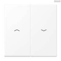 Jung BRG 12-5 PK 42 Abdeckung mit Kipphebel "Kegel" 1-fach 2 Kipphebel
