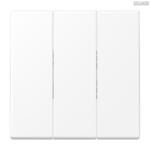 Jung BRG 12-5 PK 42 Abdeckung mit Kipphebel "Kegel" 1-fach 2 Kipphebel