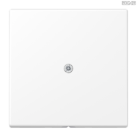 Jung BRG 12-5 PK 42 Abdeckung mit Kipphebel "Kegel" 1-fach 2 Kipphebel