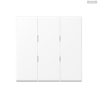 Jung BRG 12-5 PK 42 Abdeckung mit Kipphebel "Kegel" 1-fach 2 Kipphebel
