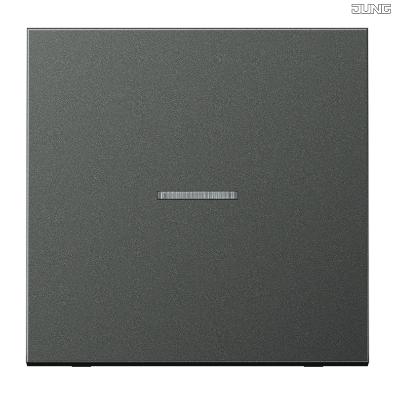 Jung BRG 12-5 PK 42 Abdeckung mit Kipphebel "Kegel" 1-fach 2 Kipphebel