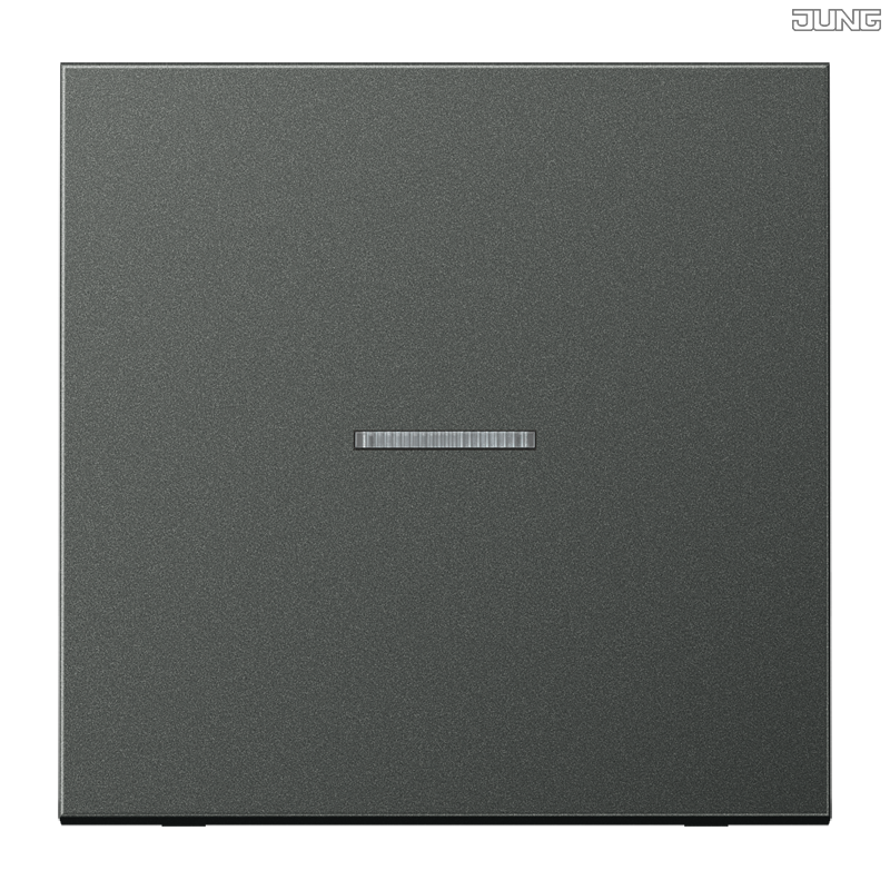Jung BRG 12-5 PK 42 Abdeckung mit Kipphebel "Kegel" 1-fach 2 Kipphebel