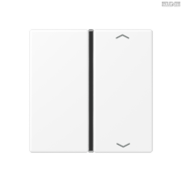 Jung BRG 12-5 PK 42 Abdeckung mit Kipphebel "Kegel" 1-fach 2 Kipphebel