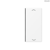 Jung BRG 12-5 PK 42 Abdeckung mit Kipphebel "Kegel" 1-fach 2 Kipphebel