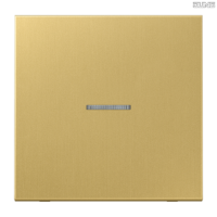 Jung BRG 12-5 PK 42 Abdeckung mit Kipphebel "Kegel" 1-fach 2 Kipphebel