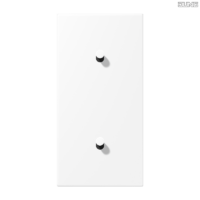 Jung BRG 12-5 PK 42 Abdeckung mit Kipphebel "Kegel" 1-fach 2 Kipphebel