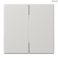 Jung BRG 12-5 PK 42 Abdeckung mit Kipphebel "Kegel" 1-fach 2 Kipphebel