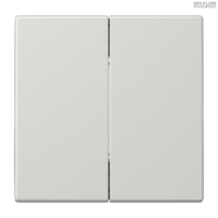 Jung BRG 12-5 PK 42 Abdeckung mit Kipphebel "Kegel" 1-fach 2 Kipphebel