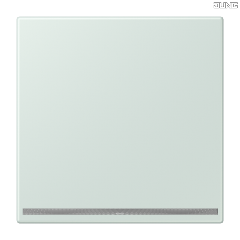 Jung BRG 12-5 PK 42 Abdeckung mit Kipphebel "Kegel" 1-fach 2 Kipphebel