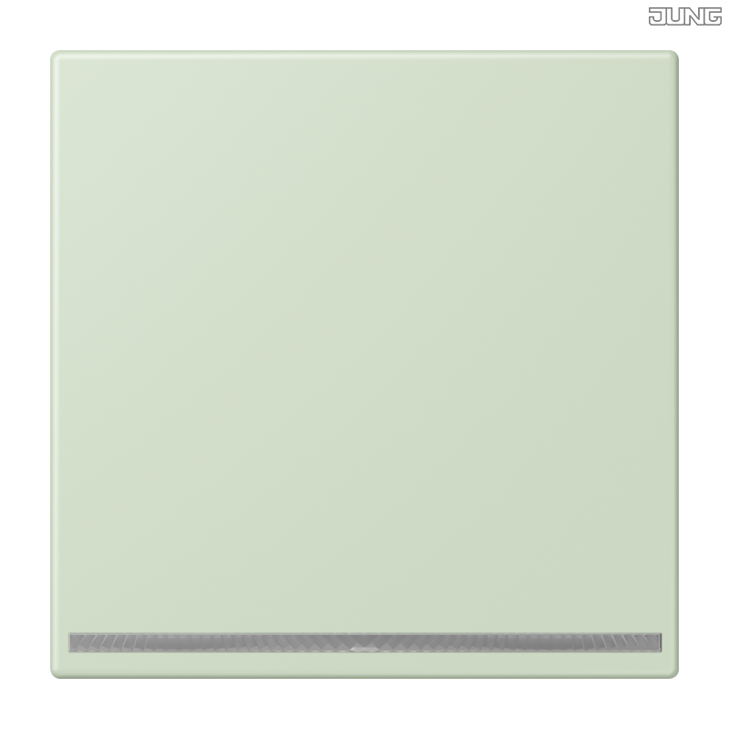 Jung BRG 12-5 PK 42 Abdeckung mit Kipphebel "Kegel" 1-fach 2 Kipphebel