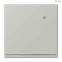 Jung BRG 12-5 PK 42 Abdeckung mit Kipphebel "Kegel" 1-fach 2 Kipphebel