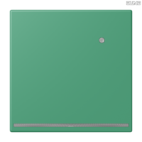 Jung BRG 12-5 PK 42 Abdeckung mit Kipphebel "Kegel" 1-fach 2 Kipphebel