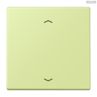 Jung BRG 12-5 PK 42 Abdeckung mit Kipphebel "Kegel" 1-fach 2 Kipphebel