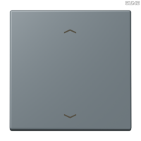 Jung BRG 12-5 PK 42 Abdeckung mit Kipphebel "Kegel" 1-fach 2 Kipphebel