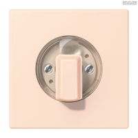 Jung BRG 12-5 PK 42 Abdeckung mit Kipphebel "Kegel" 1-fach 2 Kipphebel