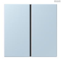 Jung BRG 12-5 PK 42 Abdeckung mit Kipphebel "Kegel" 1-fach 2 Kipphebel