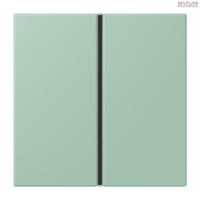 Jung BRG 12-5 PK 42 Abdeckung mit Kipphebel "Kegel" 1-fach 2 Kipphebel