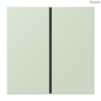 Jung BRG 12-5 PK 42 Abdeckung mit Kipphebel "Kegel" 1-fach 2 Kipphebel