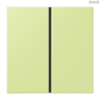 Jung BRG 12-5 PK 42 Abdeckung mit Kipphebel "Kegel" 1-fach 2 Kipphebel