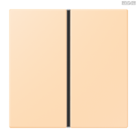 Jung BRG 12-5 PK 42 Abdeckung mit Kipphebel "Kegel" 1-fach 2 Kipphebel