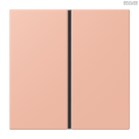 Jung BRG 12-5 PK 42 Abdeckung mit Kipphebel "Kegel" 1-fach 2 Kipphebel