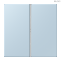 Jung BRG 12-5 PK 42 Abdeckung mit Kipphebel "Kegel" 1-fach 2 Kipphebel