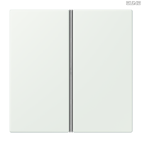 Jung BRG 12-5 PK 42 Abdeckung mit Kipphebel "Kegel" 1-fach 2 Kipphebel