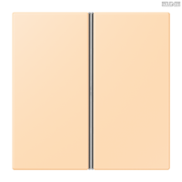 Jung BRG 12-5 PK 42 Abdeckung mit Kipphebel "Kegel" 1-fach 2 Kipphebel