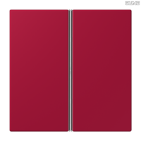 Jung BRG 12-5 PK 42 Abdeckung mit Kipphebel "Kegel" 1-fach 2 Kipphebel