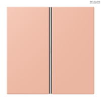 Jung BRG 12-5 PK 42 Abdeckung mit Kipphebel "Kegel" 1-fach 2 Kipphebel