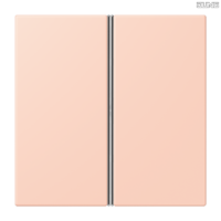 Jung BRG 12-5 PK 42 Abdeckung mit Kipphebel "Kegel" 1-fach 2 Kipphebel