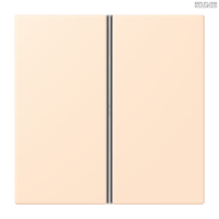 Jung BRG 12-5 PK 42 Abdeckung mit Kipphebel "Kegel" 1-fach 2 Kipphebel