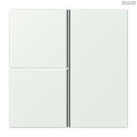 Jung BRG 12-5 PK 42 Abdeckung mit Kipphebel "Kegel" 1-fach 2 Kipphebel
