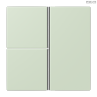 Jung BRG 12-5 PK 42 Abdeckung mit Kipphebel "Kegel" 1-fach 2 Kipphebel