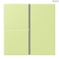 Jung BRG 12-5 PK 42 Abdeckung mit Kipphebel "Kegel" 1-fach 2 Kipphebel