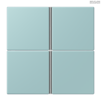 Jung BRG 12-5 PK 42 Abdeckung mit Kipphebel "Kegel" 1-fach 2 Kipphebel