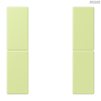 Jung BRG 12-5 PK 42 Abdeckung mit Kipphebel "Kegel" 1-fach 2 Kipphebel