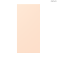 Jung BRG 12-5 PK 42 Abdeckung mit Kipphebel "Kegel" 1-fach 2 Kipphebel