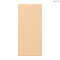 Jung BRG 12-5 PK 42 Abdeckung mit Kipphebel "Kegel" 1-fach 2 Kipphebel