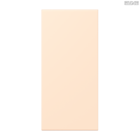 Jung BRG 12-5 PK 42 Abdeckung mit Kipphebel "Kegel" 1-fach 2 Kipphebel