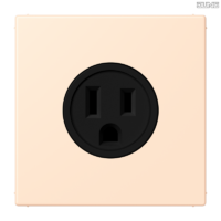 Jung BRG 12-5 PK 42 Abdeckung mit Kipphebel "Kegel" 1-fach 2 Kipphebel