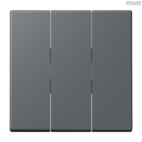 Jung BRG 12-5 PK 42 Abdeckung mit Kipphebel "Kegel" 1-fach 2 Kipphebel