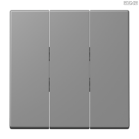 Jung BRG 12-5 PK 42 Abdeckung mit Kipphebel "Kegel" 1-fach 2 Kipphebel