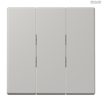 Jung BRG 12-5 PK 42 Abdeckung mit Kipphebel "Kegel" 1-fach 2 Kipphebel