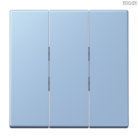 Jung BRG 12-5 PK 42 Abdeckung mit Kipphebel "Kegel" 1-fach 2 Kipphebel